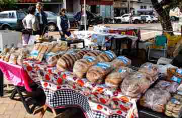 Guaraniaçu - Município terá sete agroindústrias no Show Rural Coopavel 2026